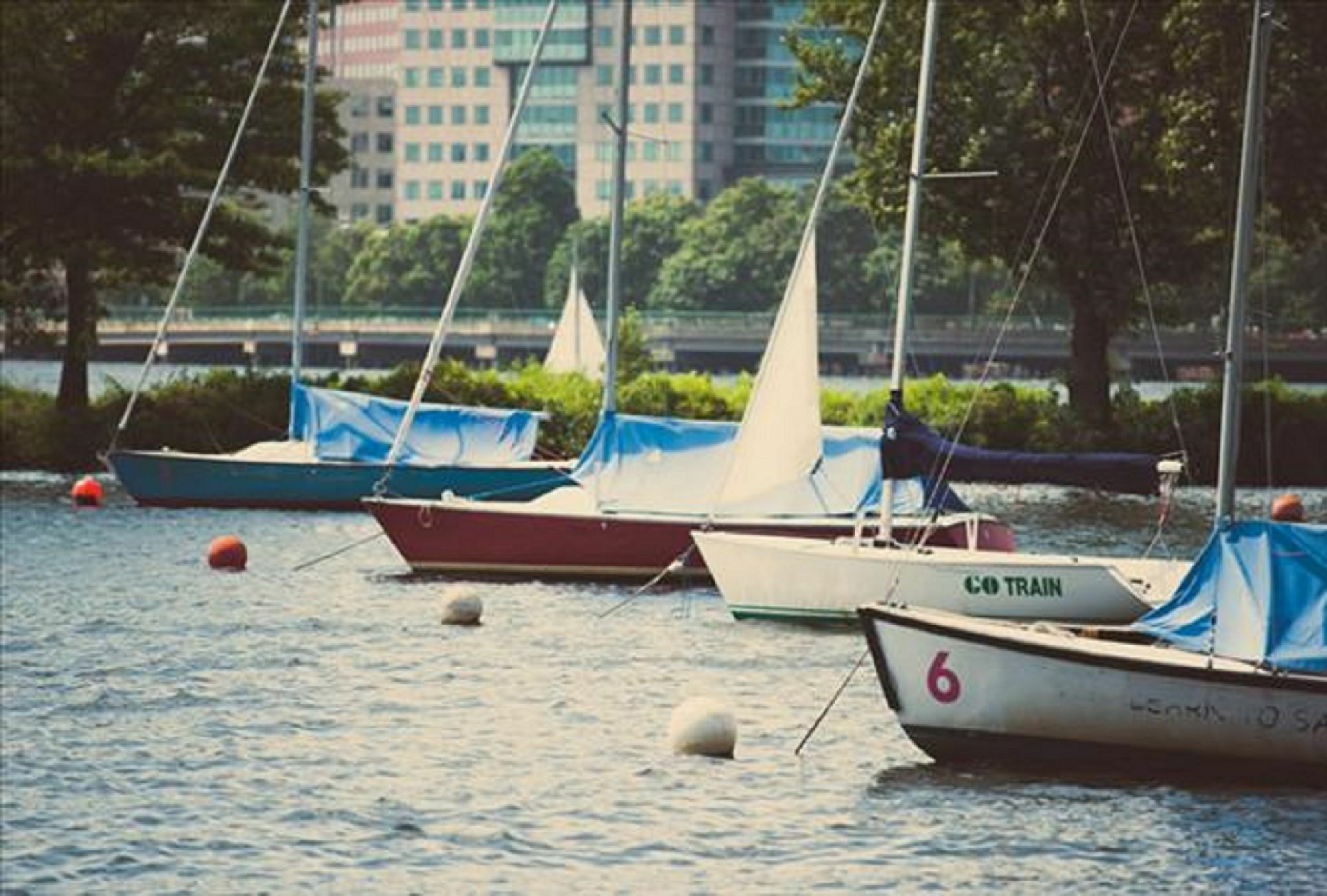 Global Luxury Suites At The Commonwealth Boston Exteriör bild
